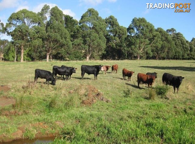 Pecks Road FLOWERDALE TAS 7325