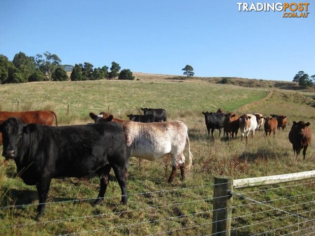 Pecks Road FLOWERDALE TAS 7325