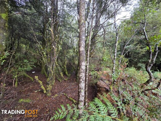 556 Waratah Road WARATAH TAS 7321