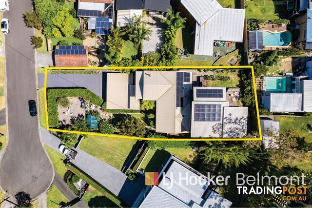 4 Peter Street VALENTINE NSW 2280