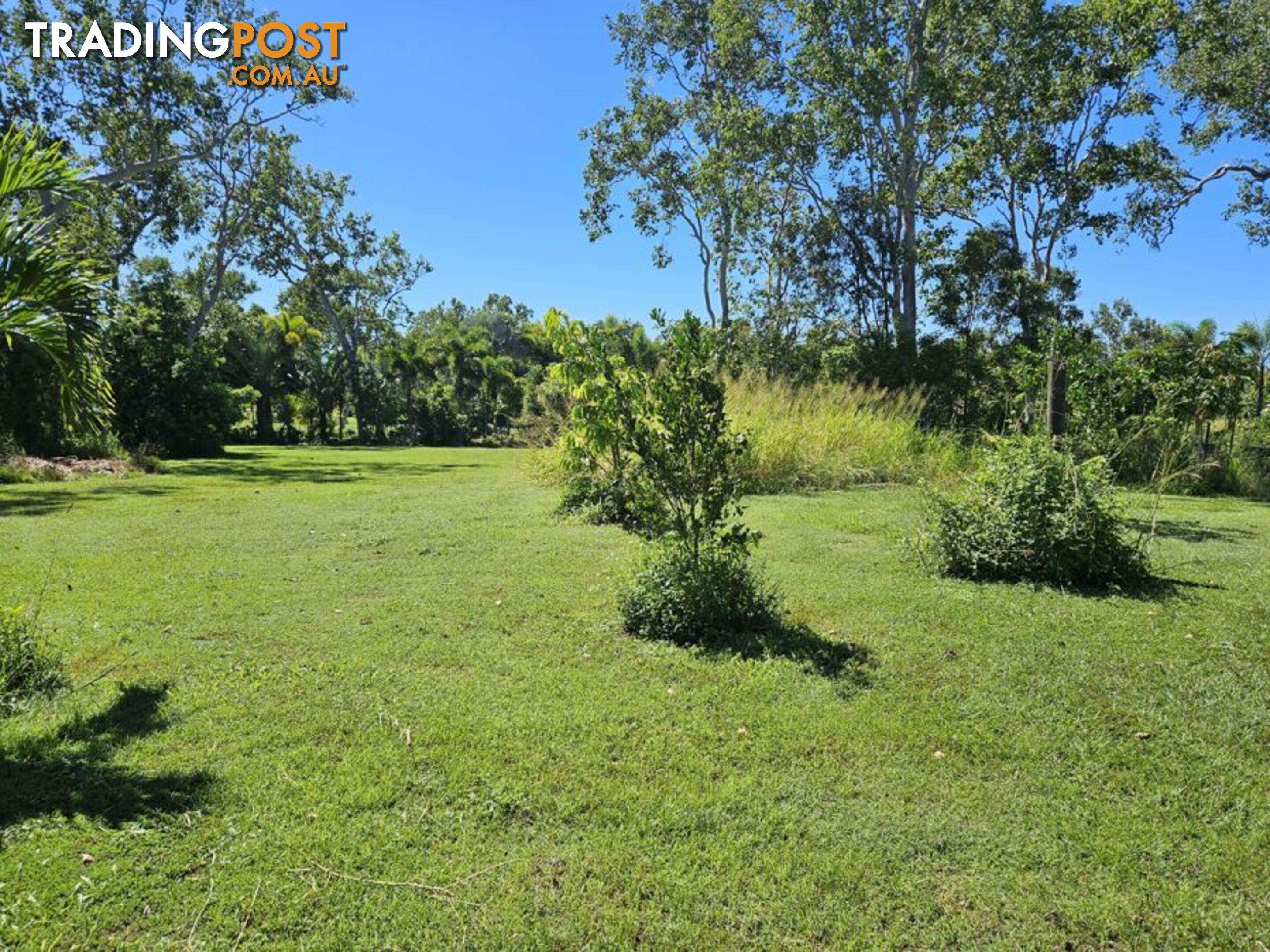 1458 MIDGE POINT ROAD MIDGE POINT QLD 4799