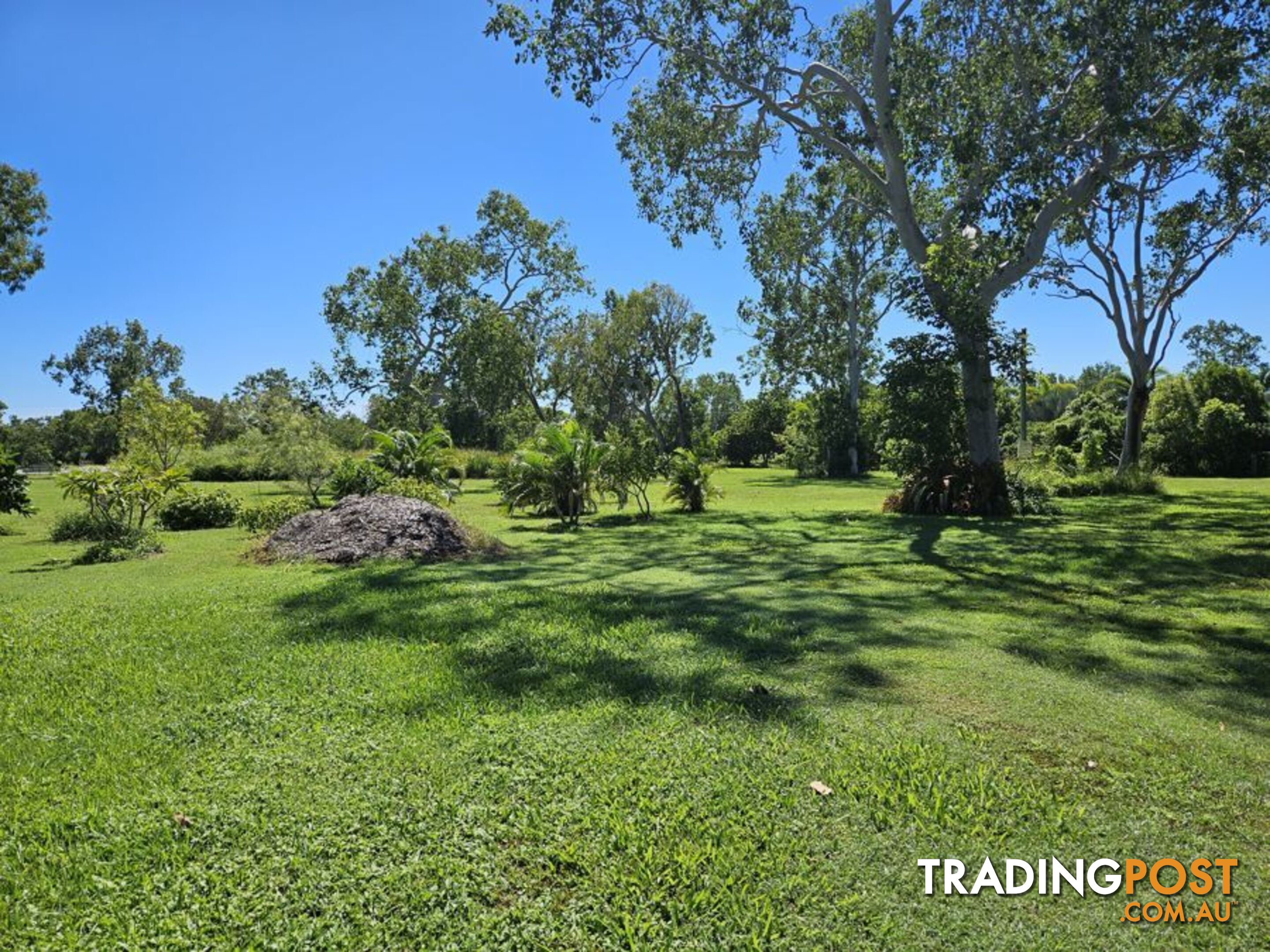 1458 MIDGE POINT ROAD MIDGE POINT QLD 4799