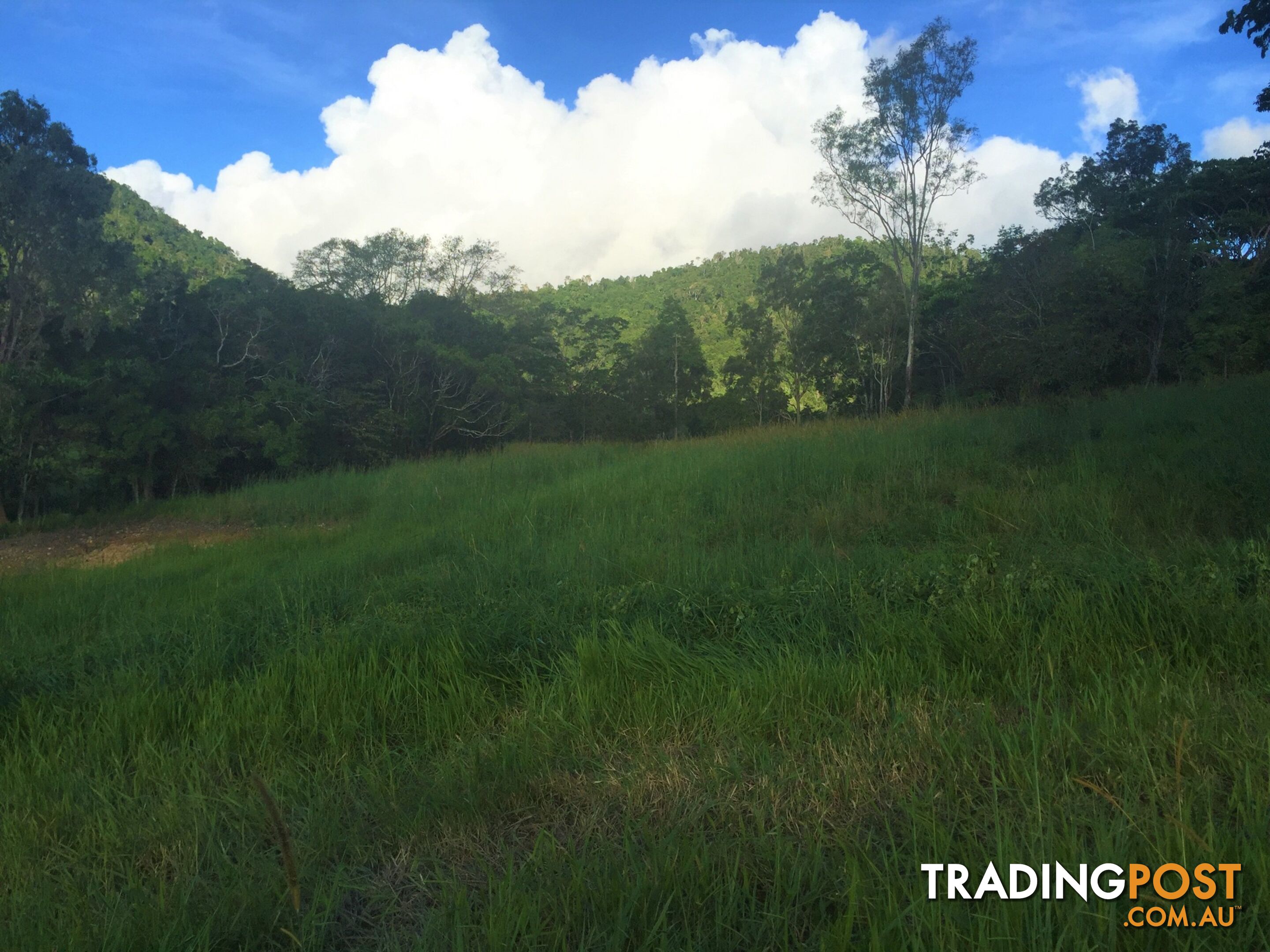 Lot 3, 122 Patullo Road GREGORY RIVER QLD 4800