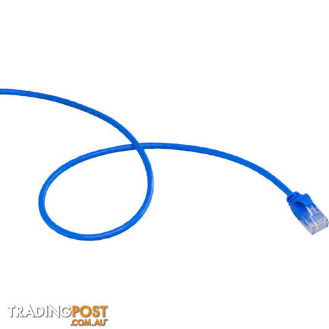 LC6SL0100BL 1M SLIM CAT6 PATCH LEAD BLUE ULTRA THIN - photo 3 of 3