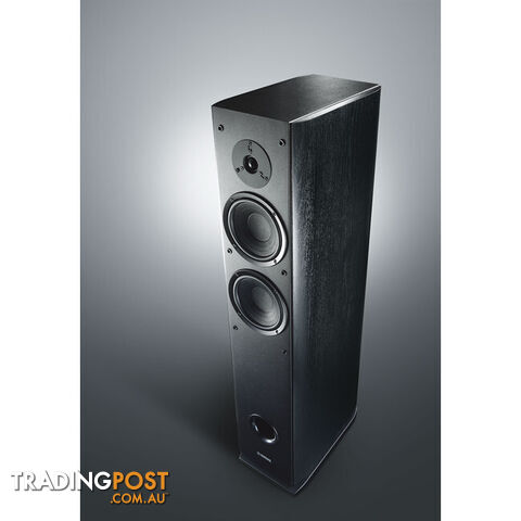 NSF160 BLACK FLOORSTANDING SPEAKER - photo 2 of 2