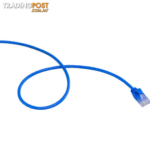 LC6SL0500BL 5M SLIM CAT6 PATCH LEAD BLUE ULTRA THIN - photo 3 of 3