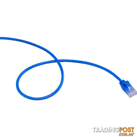 LC6SL0050BL 0.5M SLIM CAT6 PATCH LEAD BLUE ULTRA THIN - photo 3 of 3