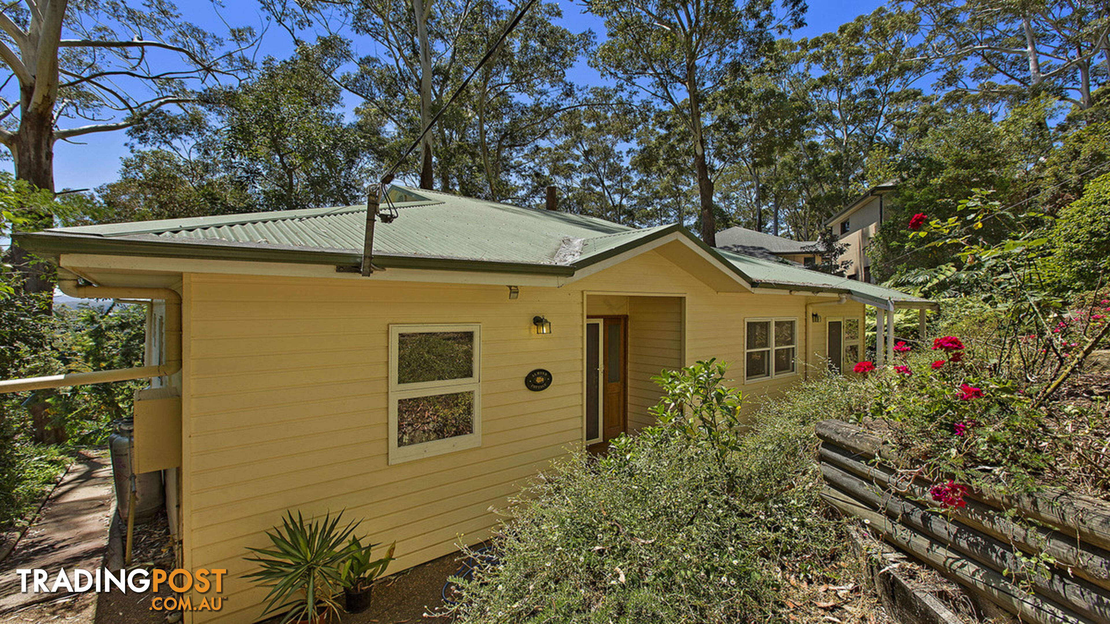 41 Arden Avenue AVOCA BEACH NSW 2251