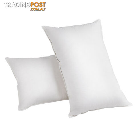 Set of 2 Goose Feathers & Down Pillow