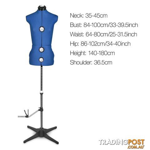 Size 8 - 14 Adjustable Dressmaking Female Mannequin Fashion Cloth Display Blue