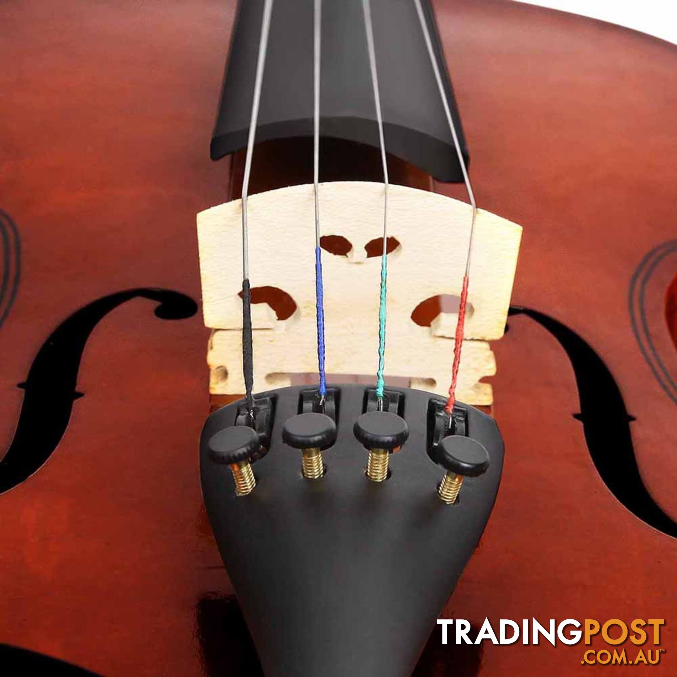 Full Size 4/4 Natural Wooden Beginner Violin Set Brown