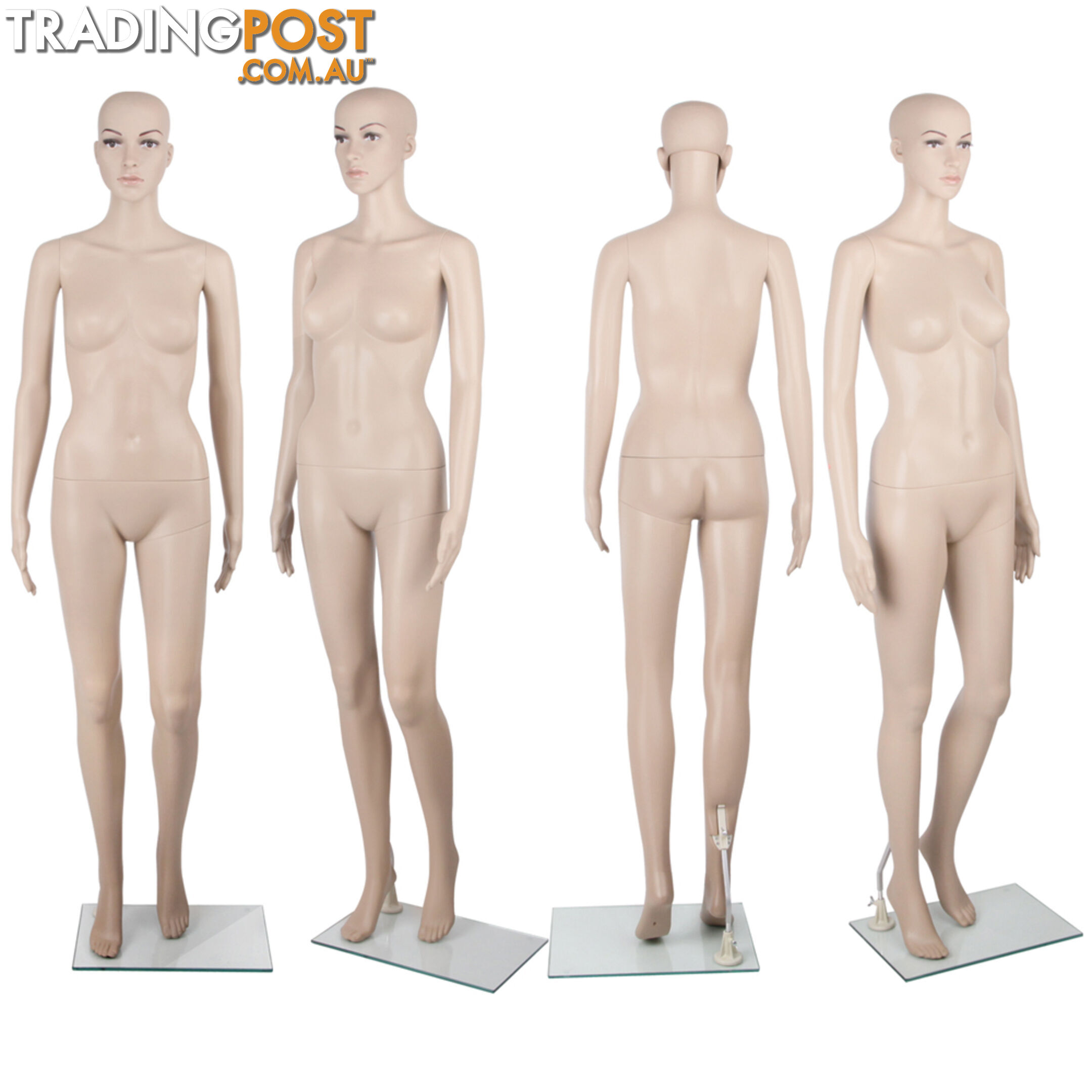 Full Body Female Mannequin Cloth Display Tailor Dressmaker Skin Tone 175cm