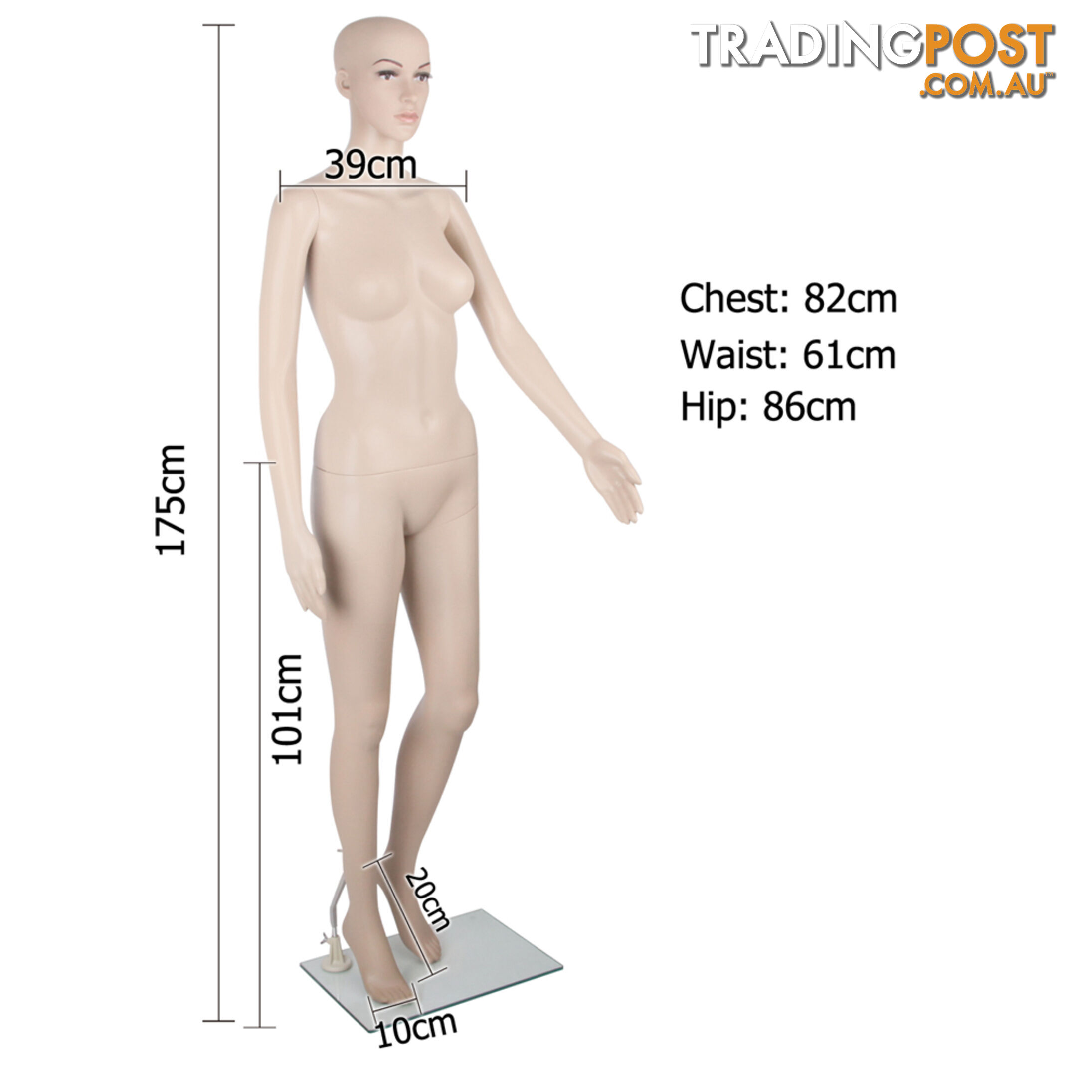 Full Body Female Mannequin Cloth Display Tailor Dressmaker Skin Tone 175cm