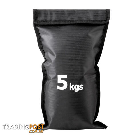 Sandbag Gym Training Weights 30 kg