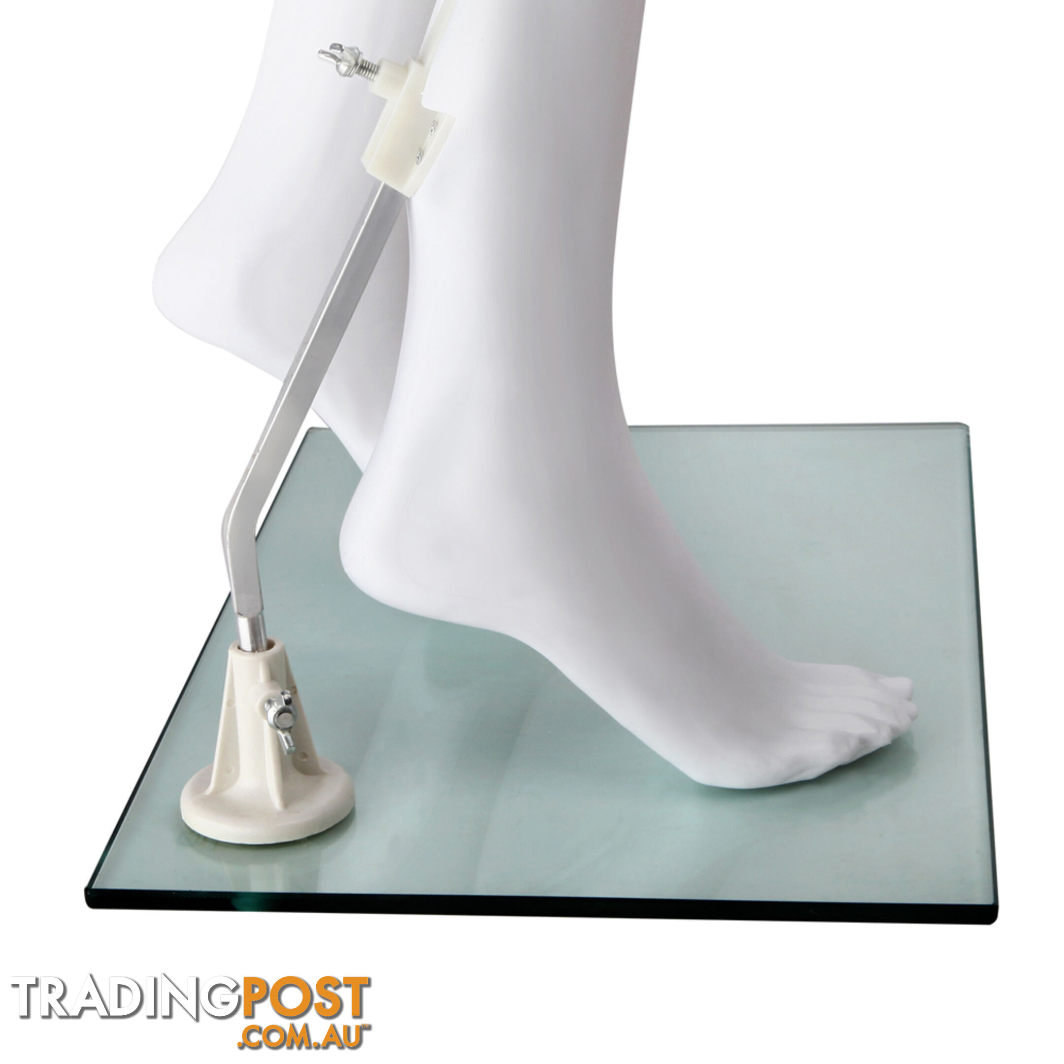 Full Body Female Mannequin Cloth Display Tailor Dressmaker Egg Head White 175cm