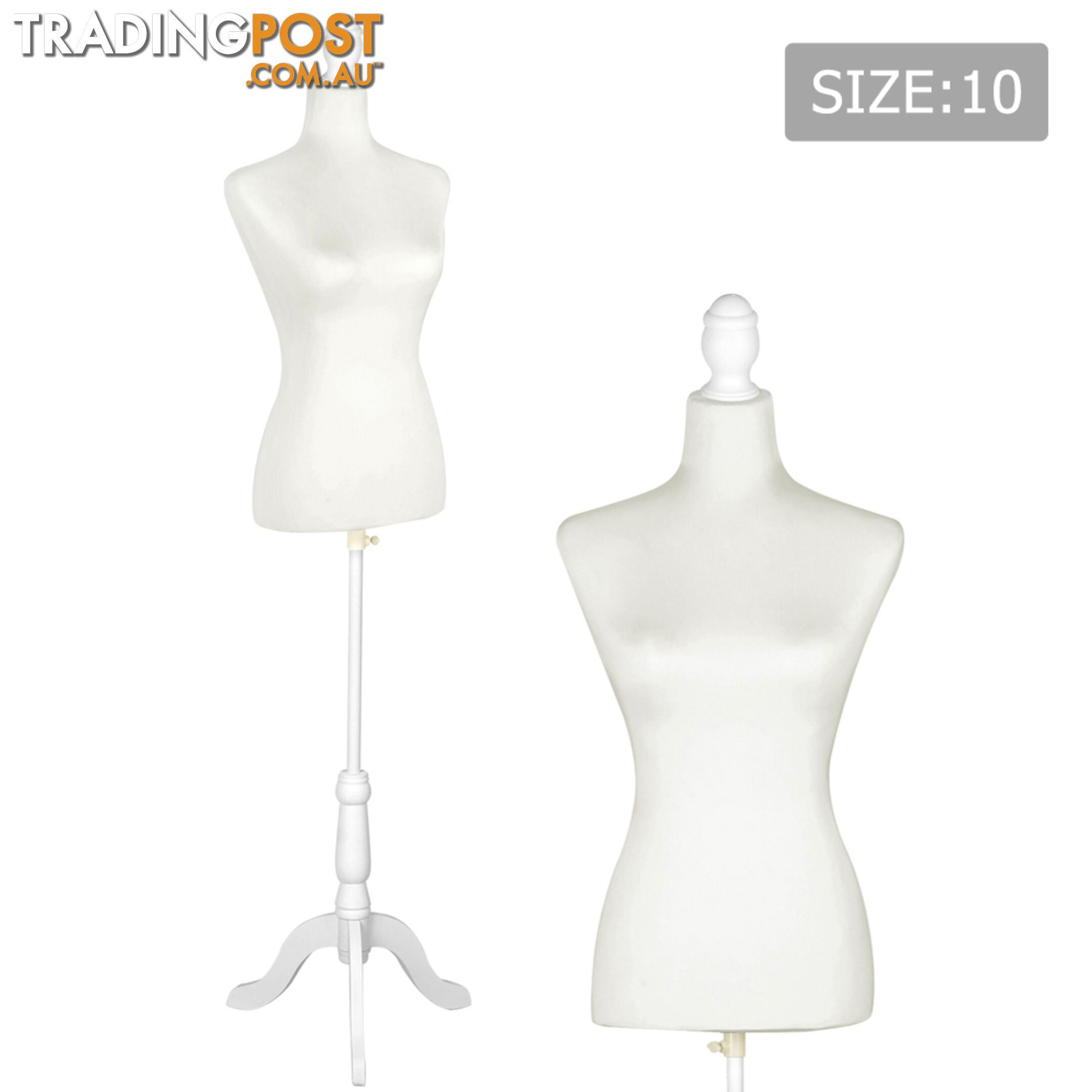 Female Mannequin Cloth Display Tailor Dressmaker White Size 10