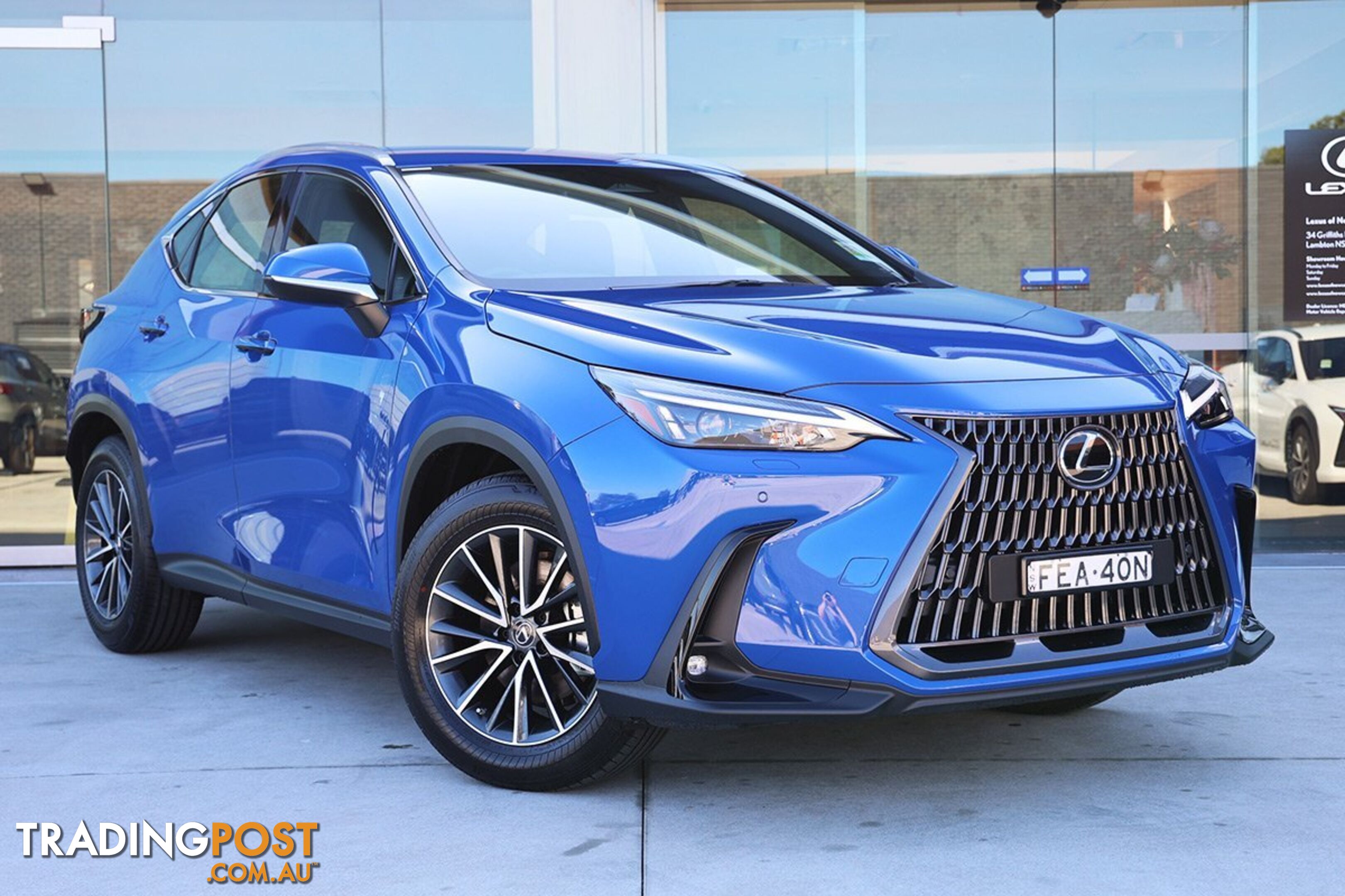 2023 LEXUS NX 250 AAZA20R SUV