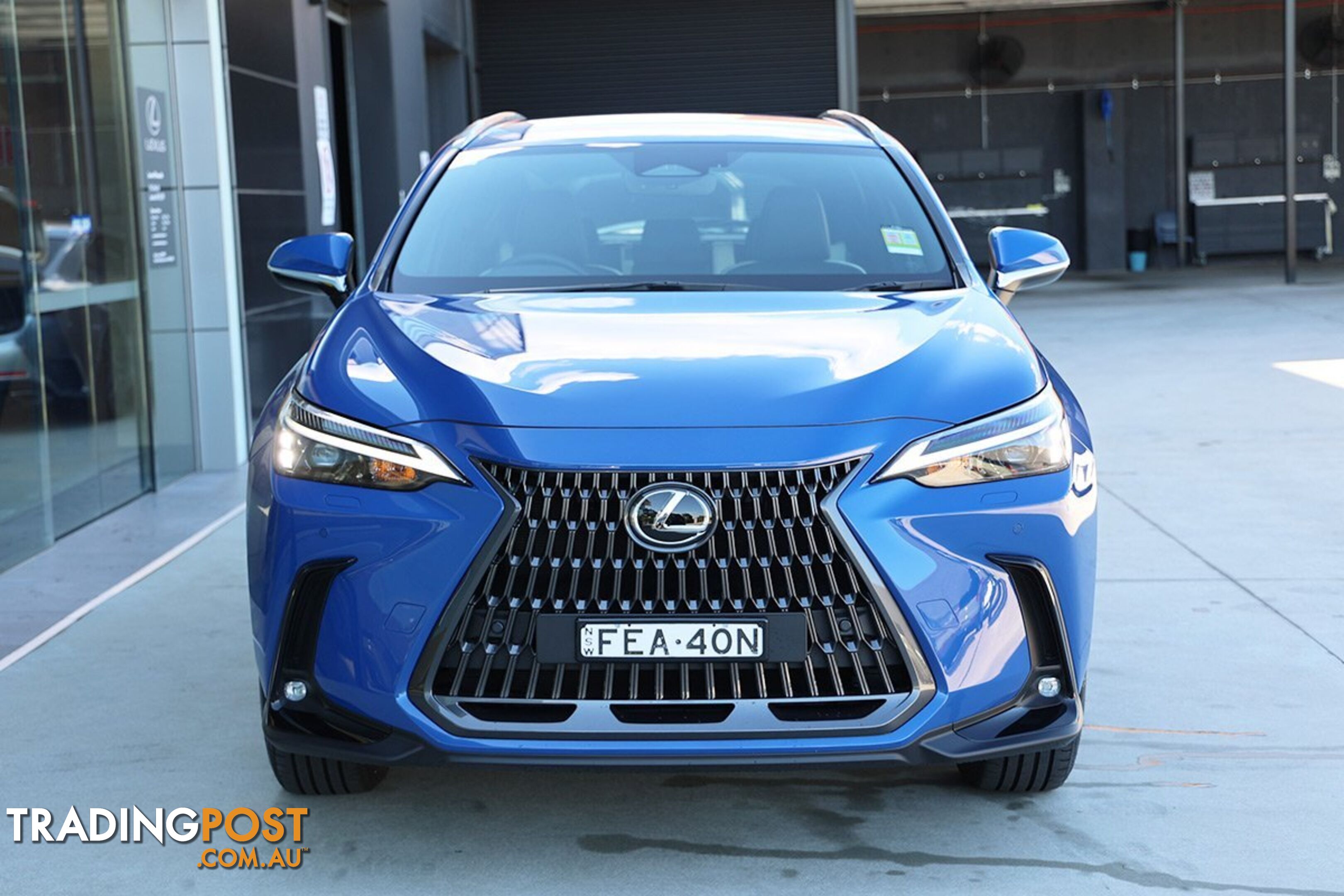 2023 LEXUS NX 250 AAZA20R SUV