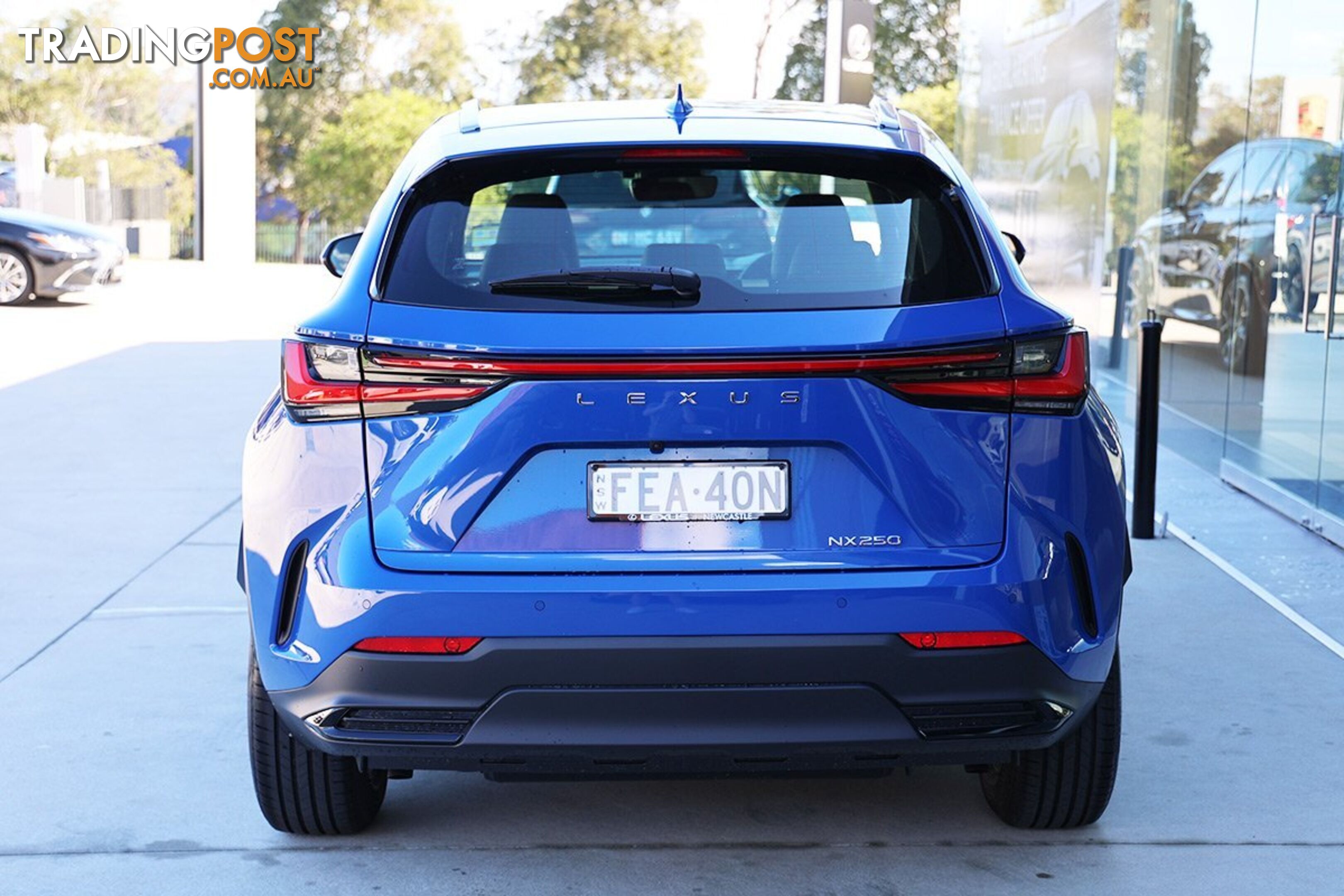 2023 LEXUS NX 250 AAZA20R SUV