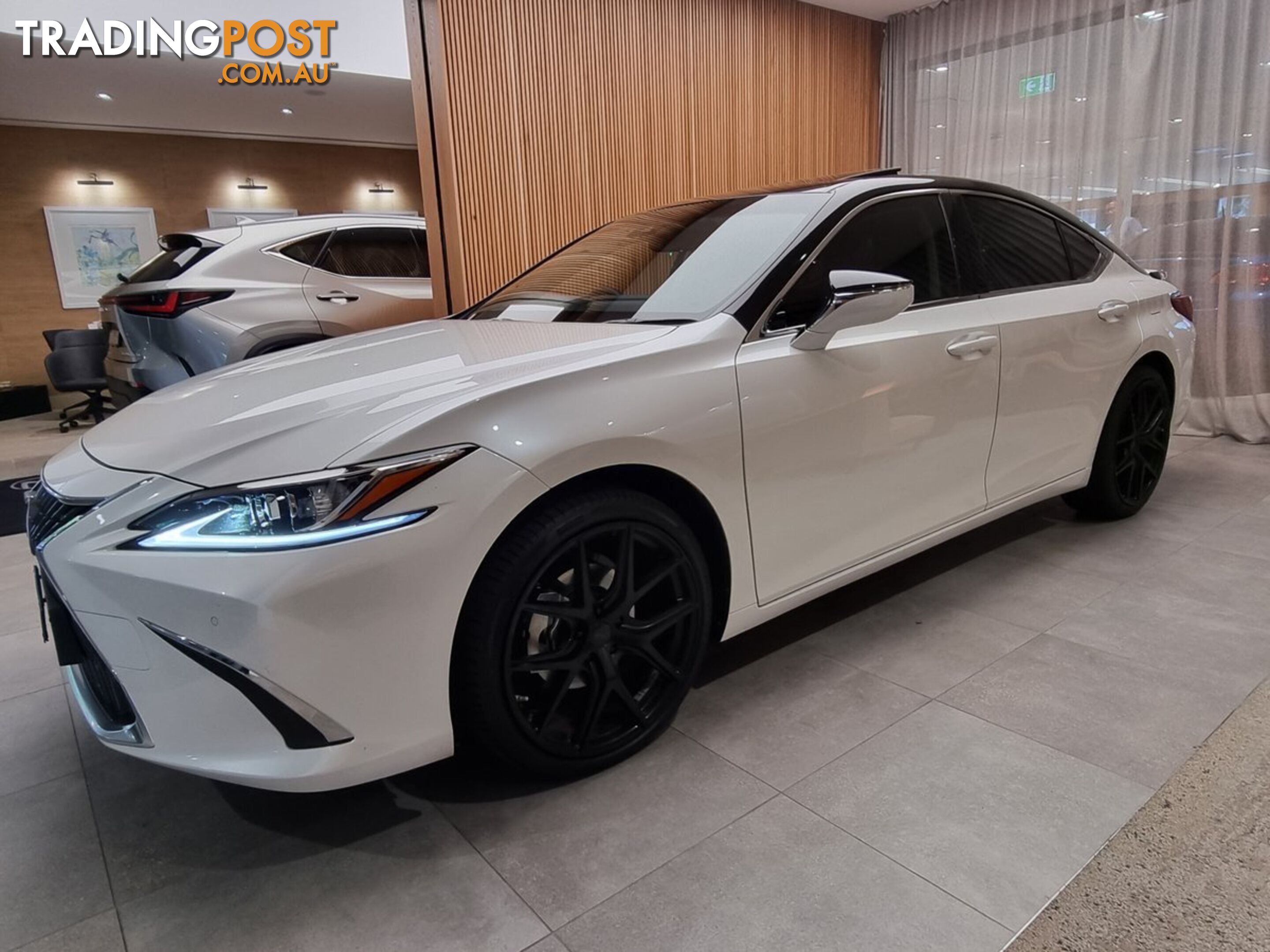 2023 LEXUS ES 300H LUXURY AXZH10R SEDAN