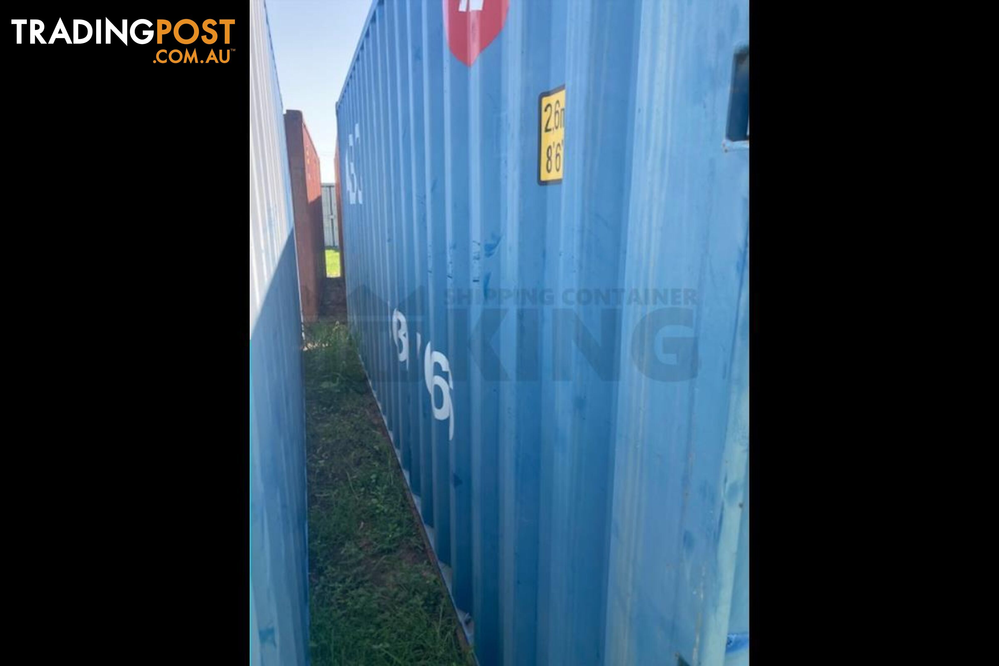 20' STANDARD HEIGHT SHIPPING CONTAINER - in Chinchilla