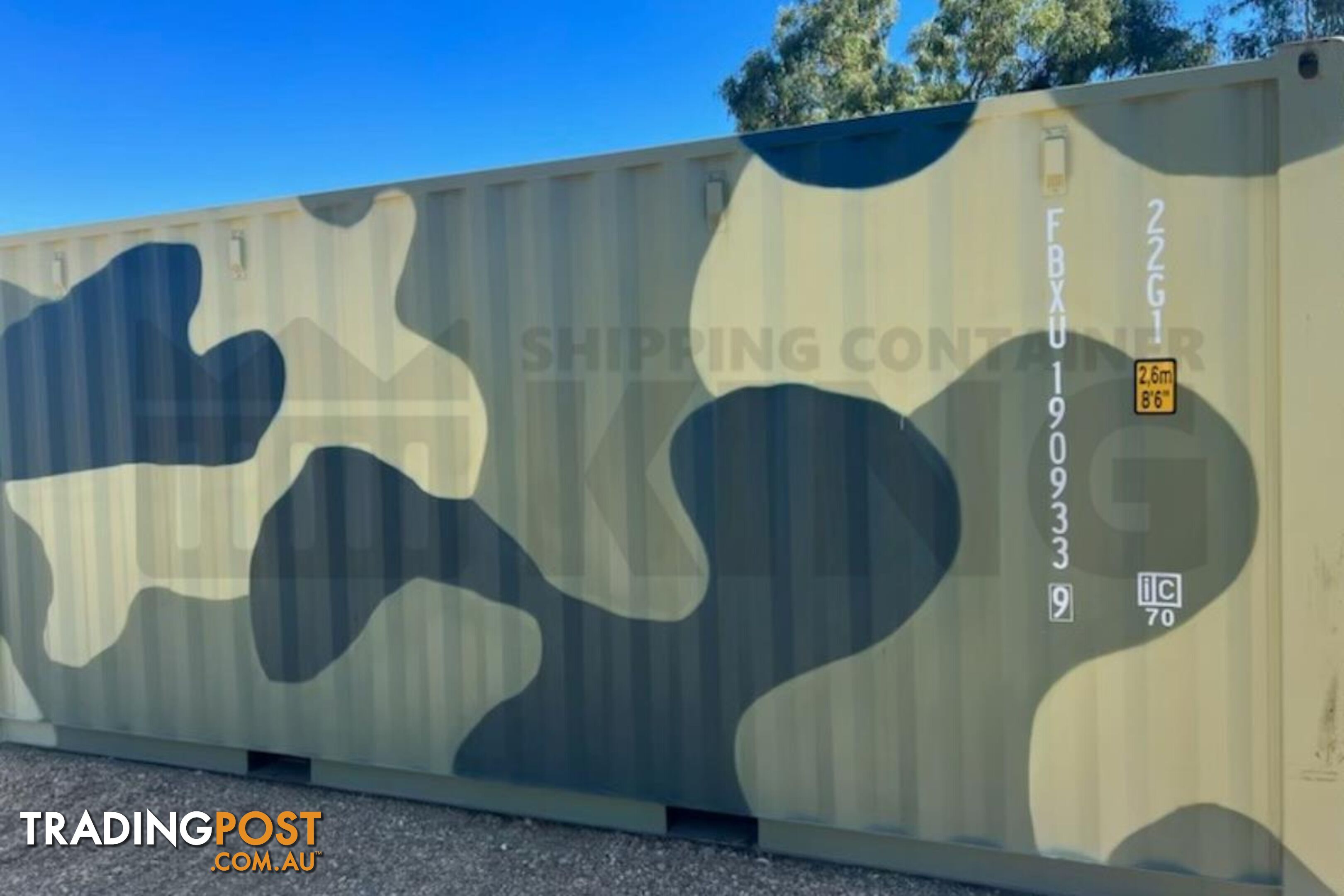 20' STANDARD HEIGHT SHIPPING CONTAINER (CAMOUFLAGE) - in Rockhampton