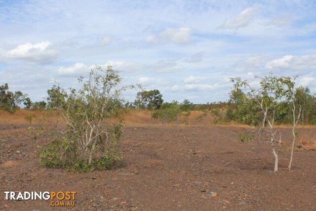 Adelaide River NT 0846