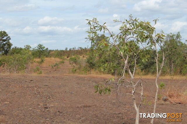 Adelaide River NT 0846