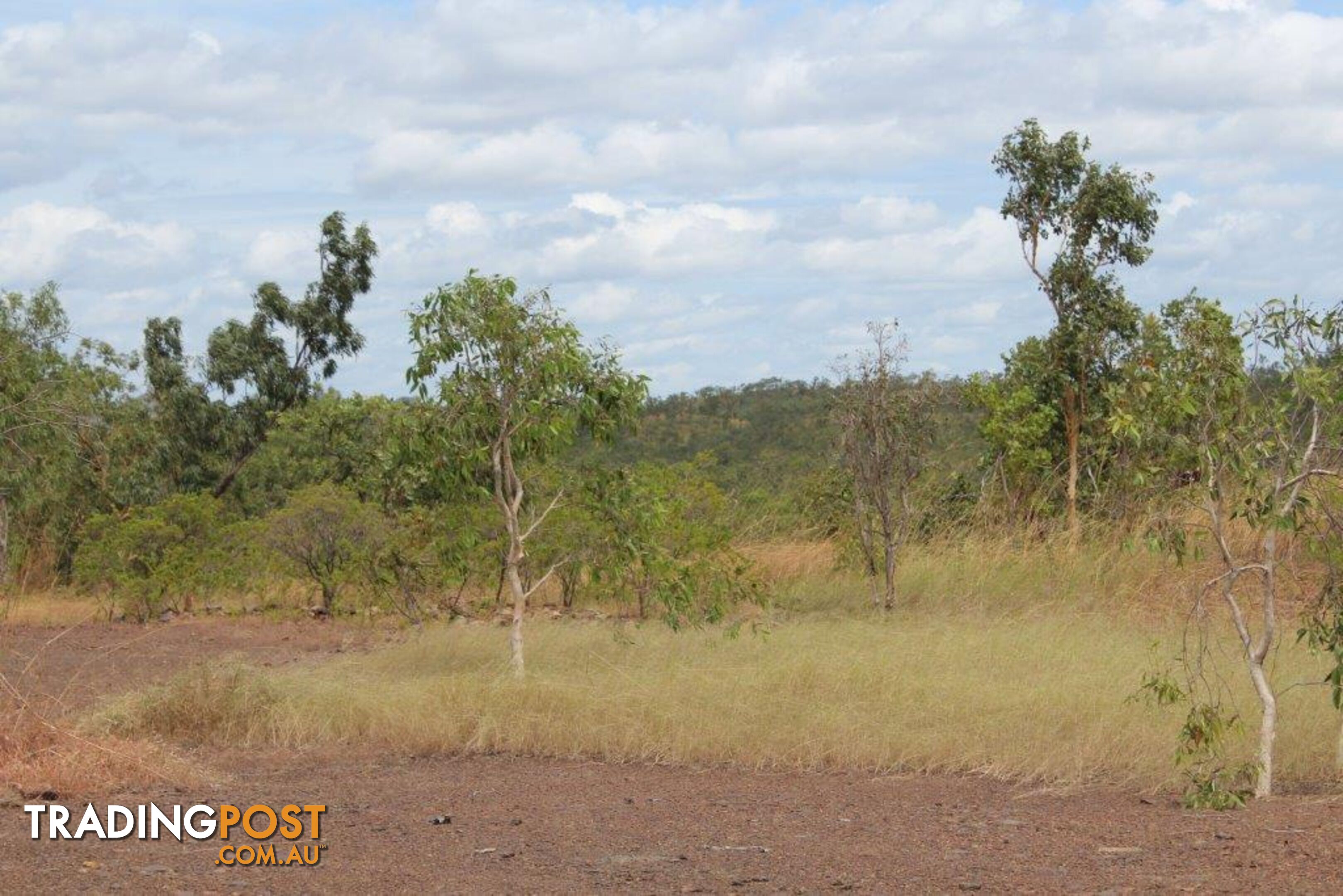 Adelaide River NT 0846