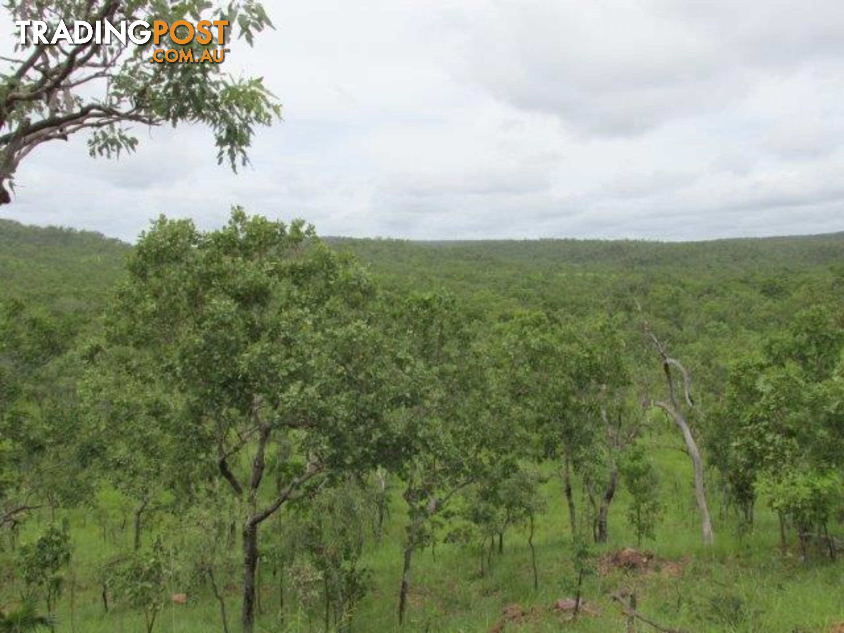 Adelaide River NT 0846