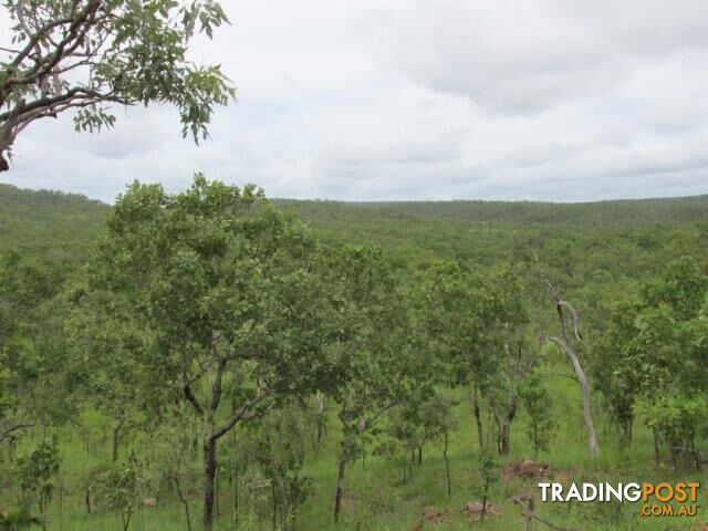 Adelaide River NT 0846