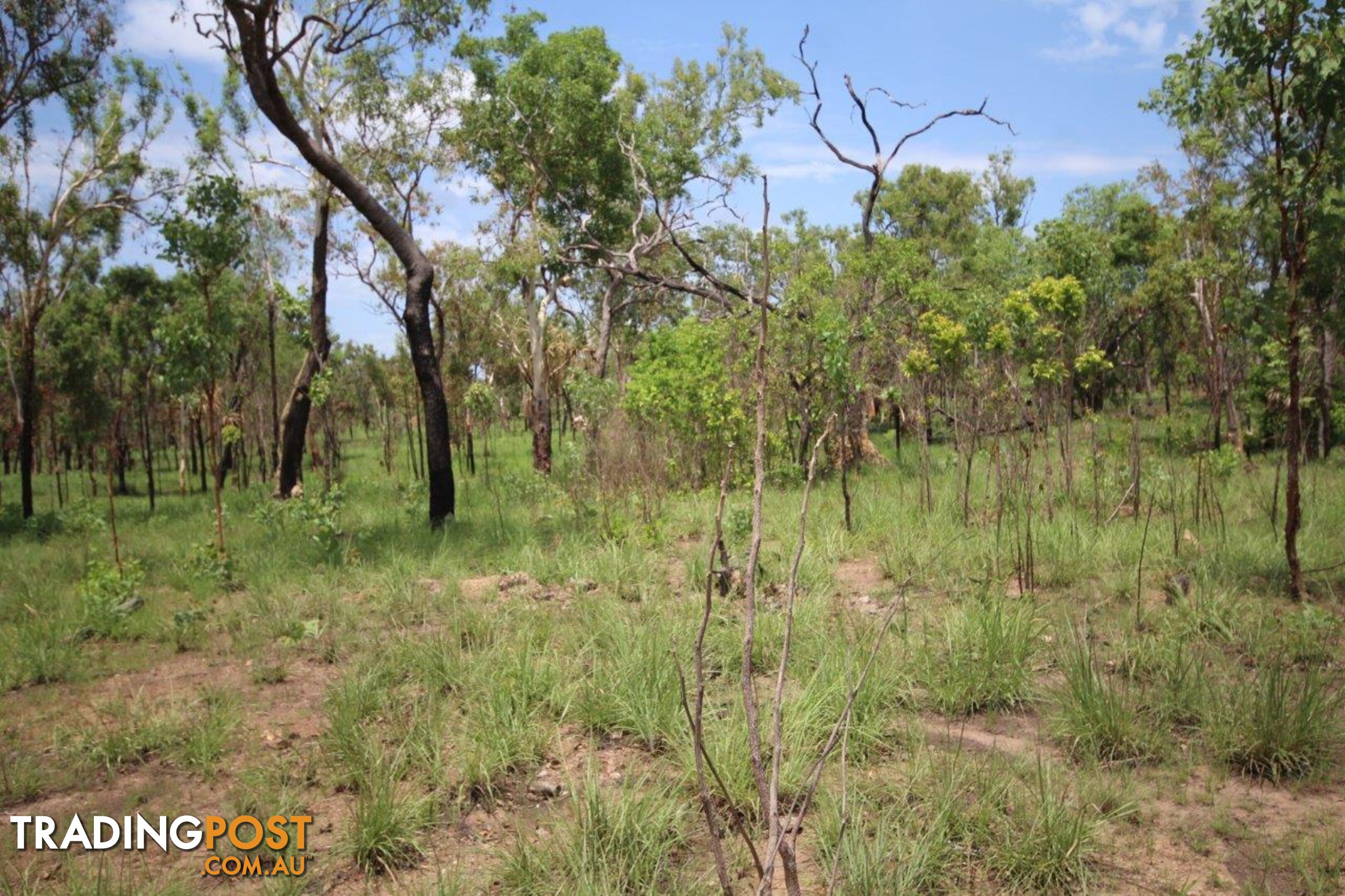 Adelaide River NT 0846