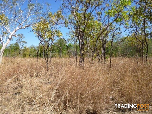 Adelaide River NT 0846