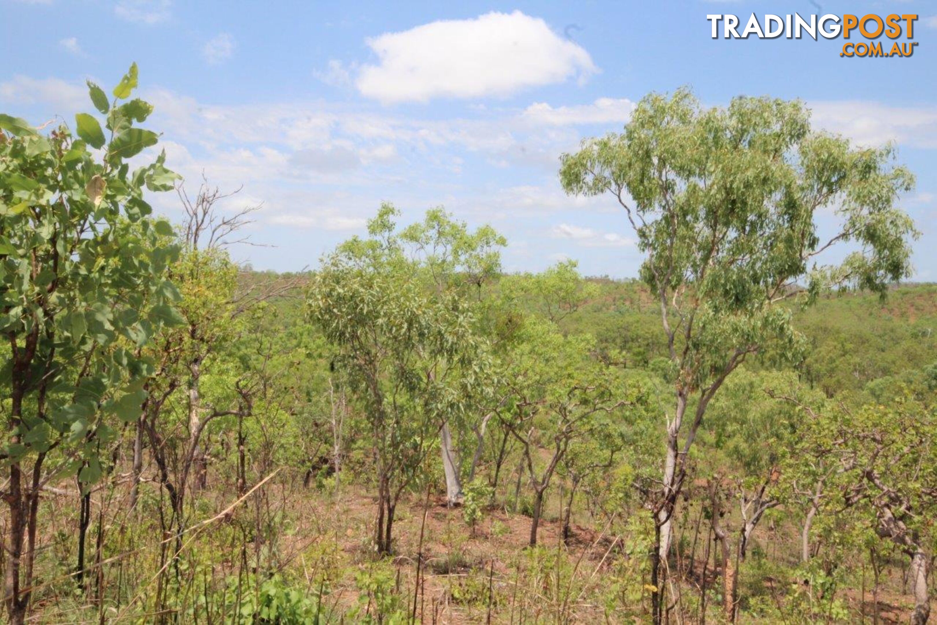 Adelaide River NT 0846