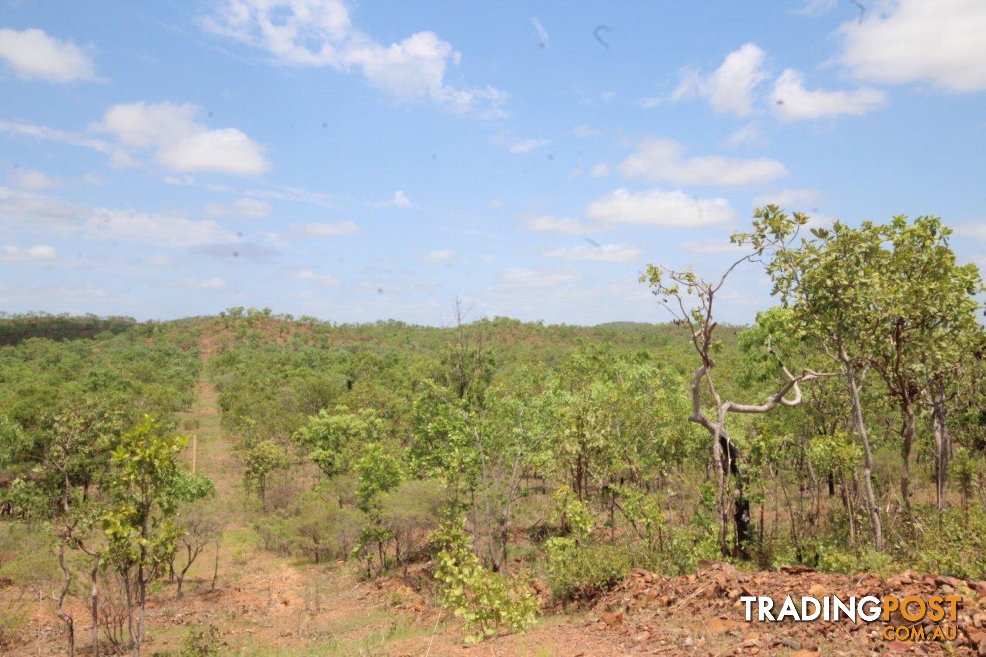 Adelaide River NT 0846