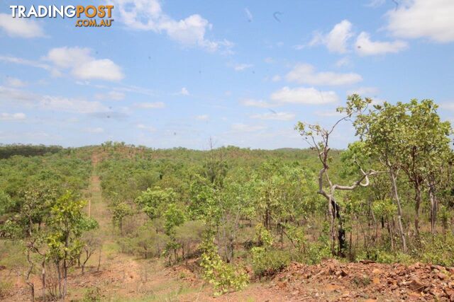 Adelaide River NT 0846