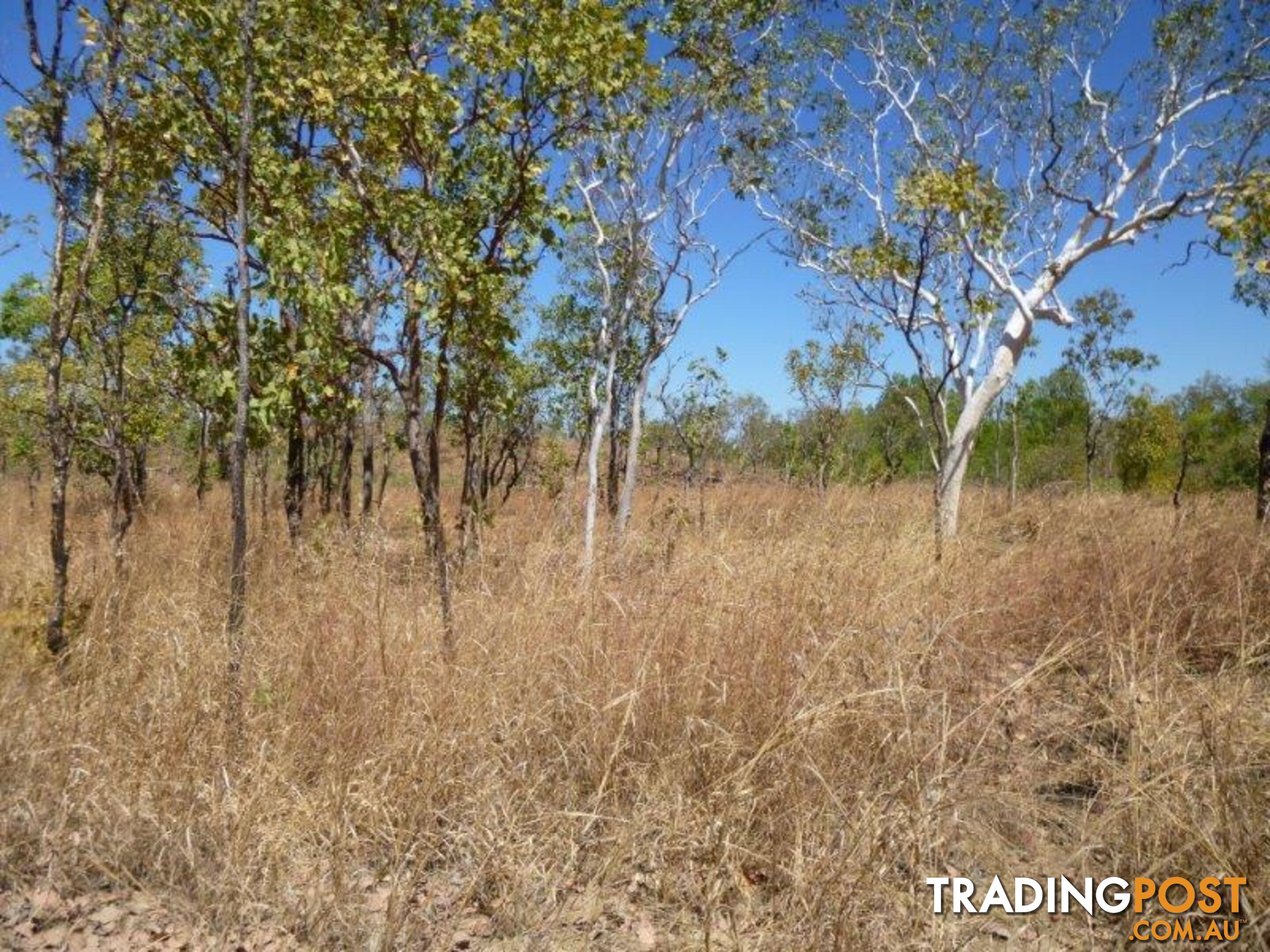 Adelaide River NT 0846