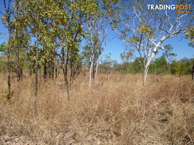 Adelaide River NT 0846