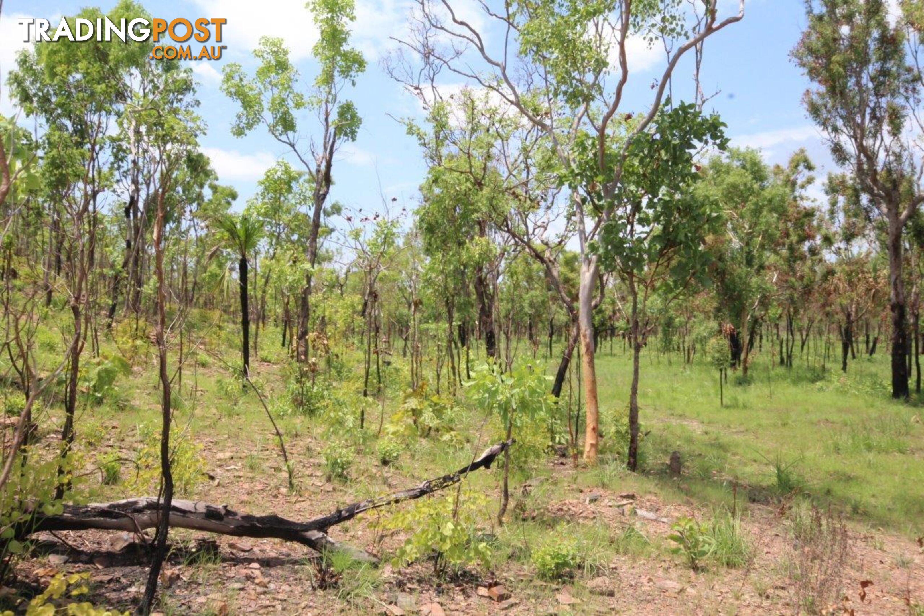 Adelaide River NT 0846