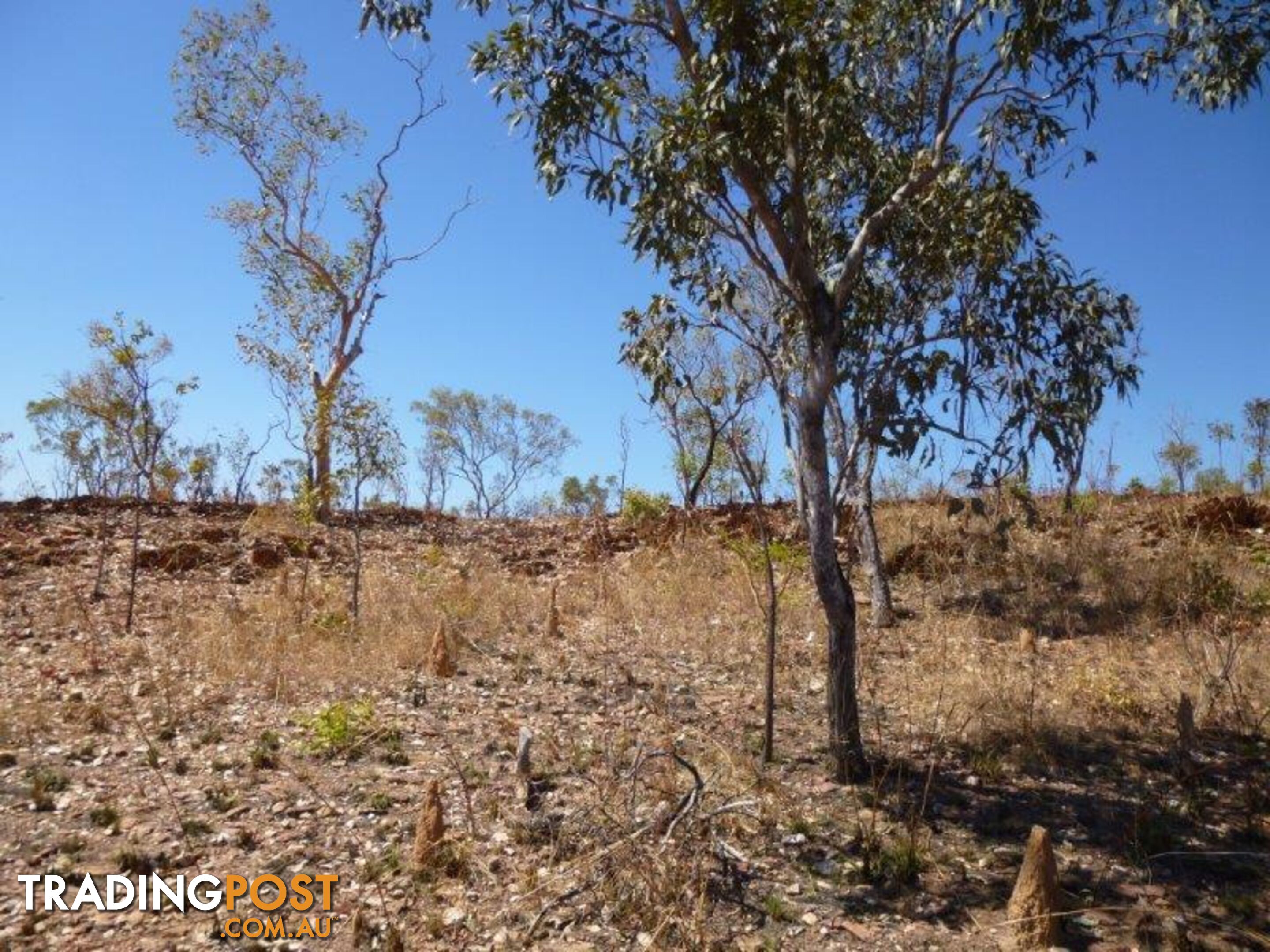 Adelaide River NT 0846