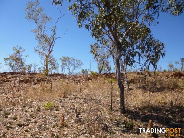 Adelaide River NT 0846