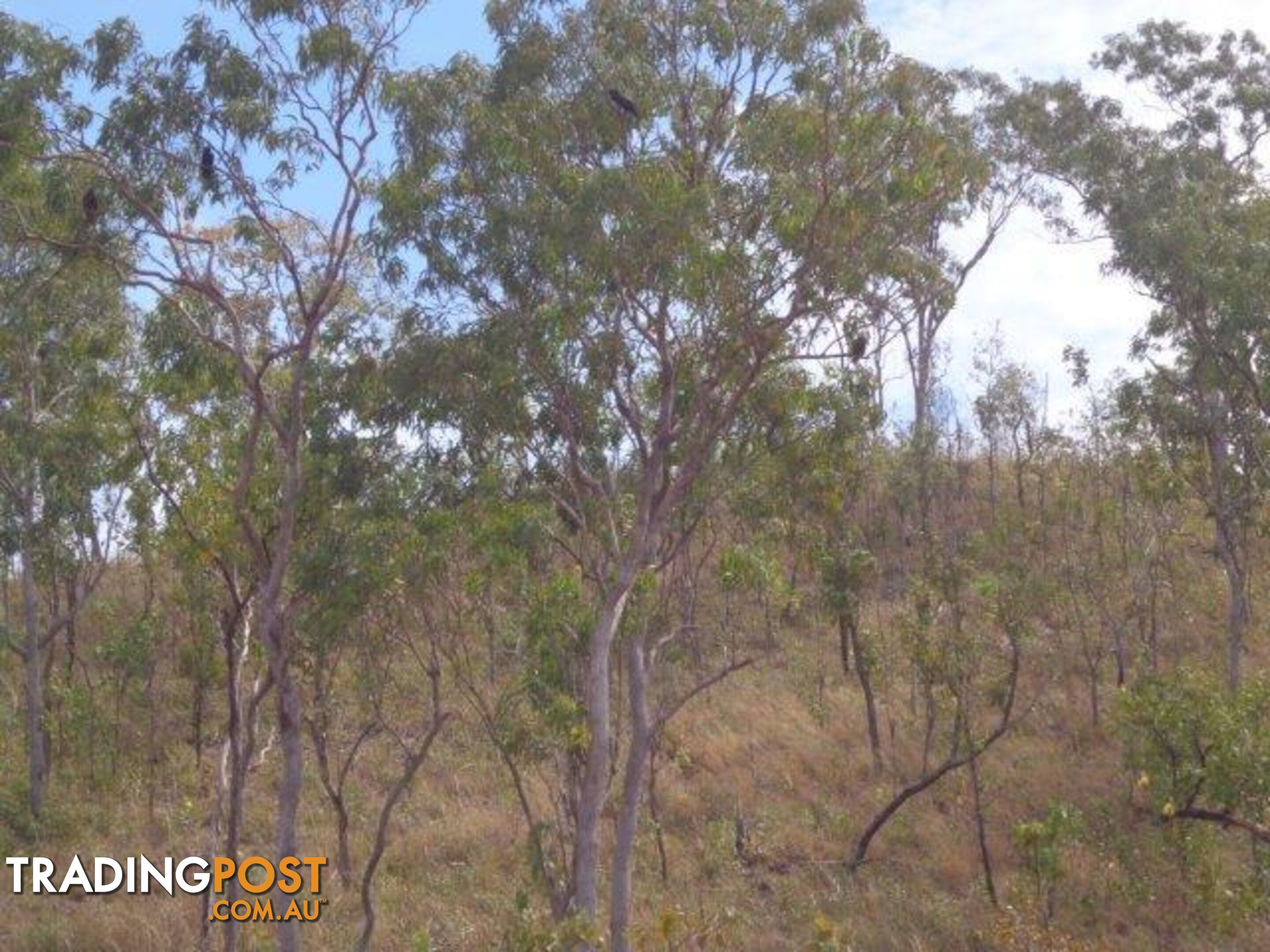 Adelaide River NT 0846