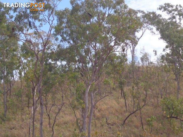 Adelaide River NT 0846