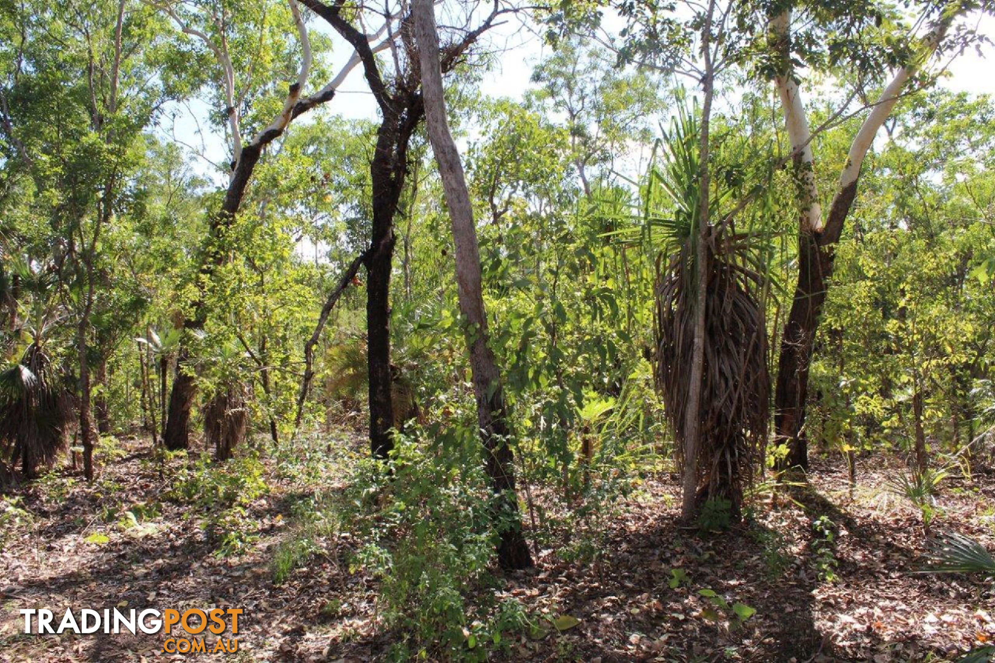 1485 Leonino Road Darwin River NT 0841