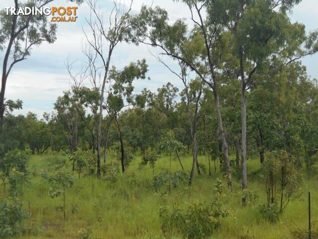 Acacia Hills NT 0822