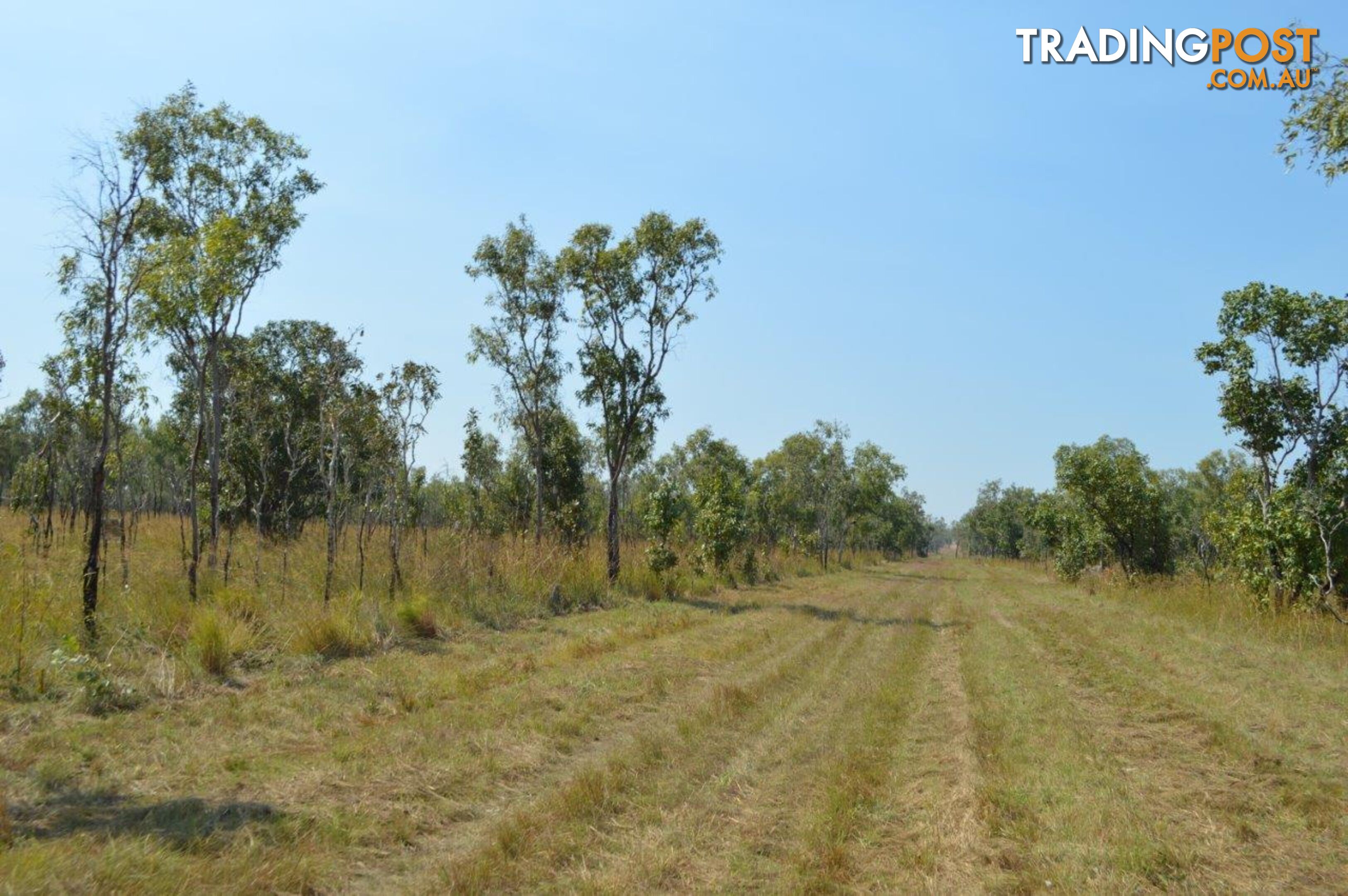 Acacia Hills NT 0822