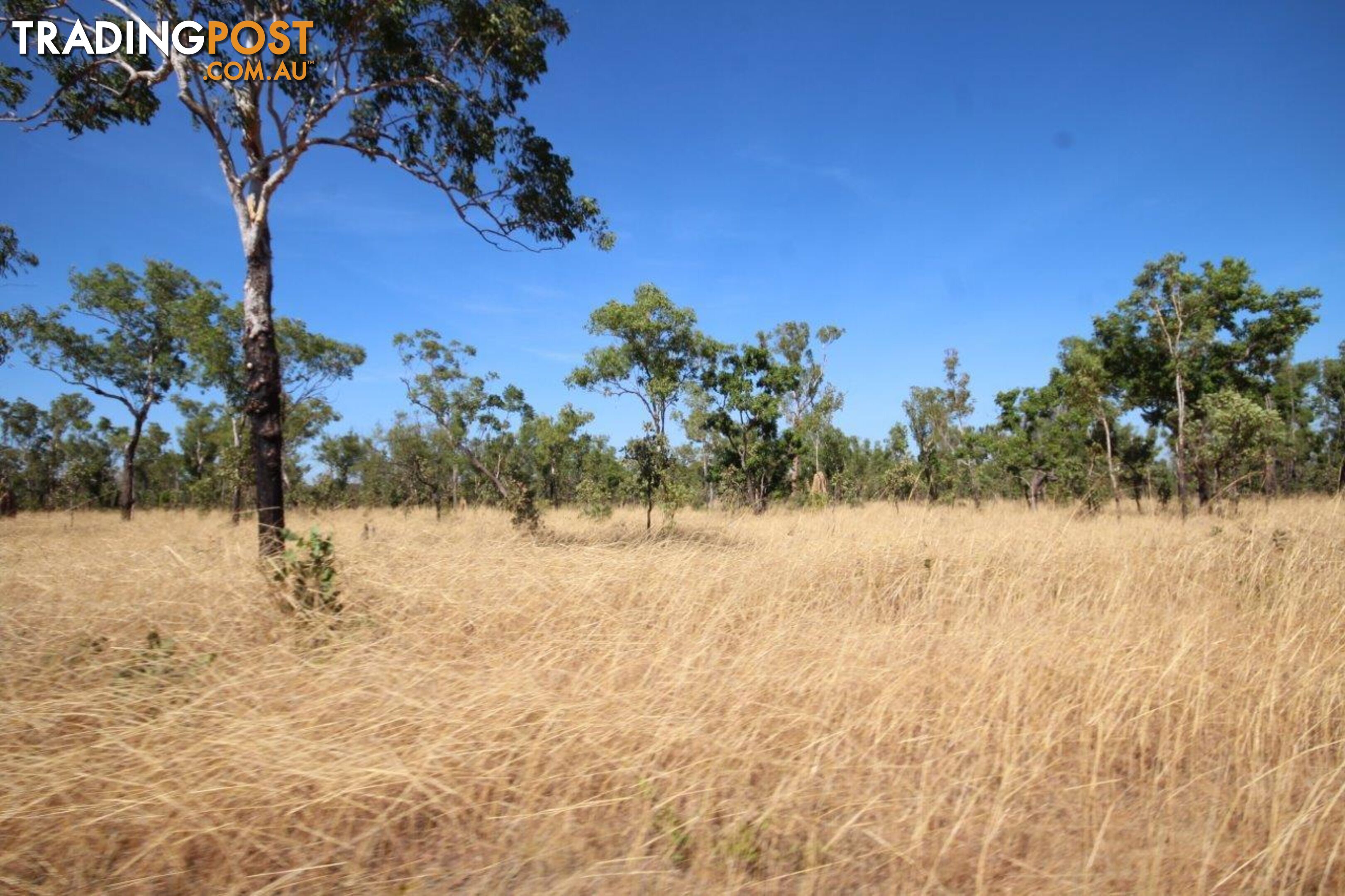 Acacia Hills NT 0822