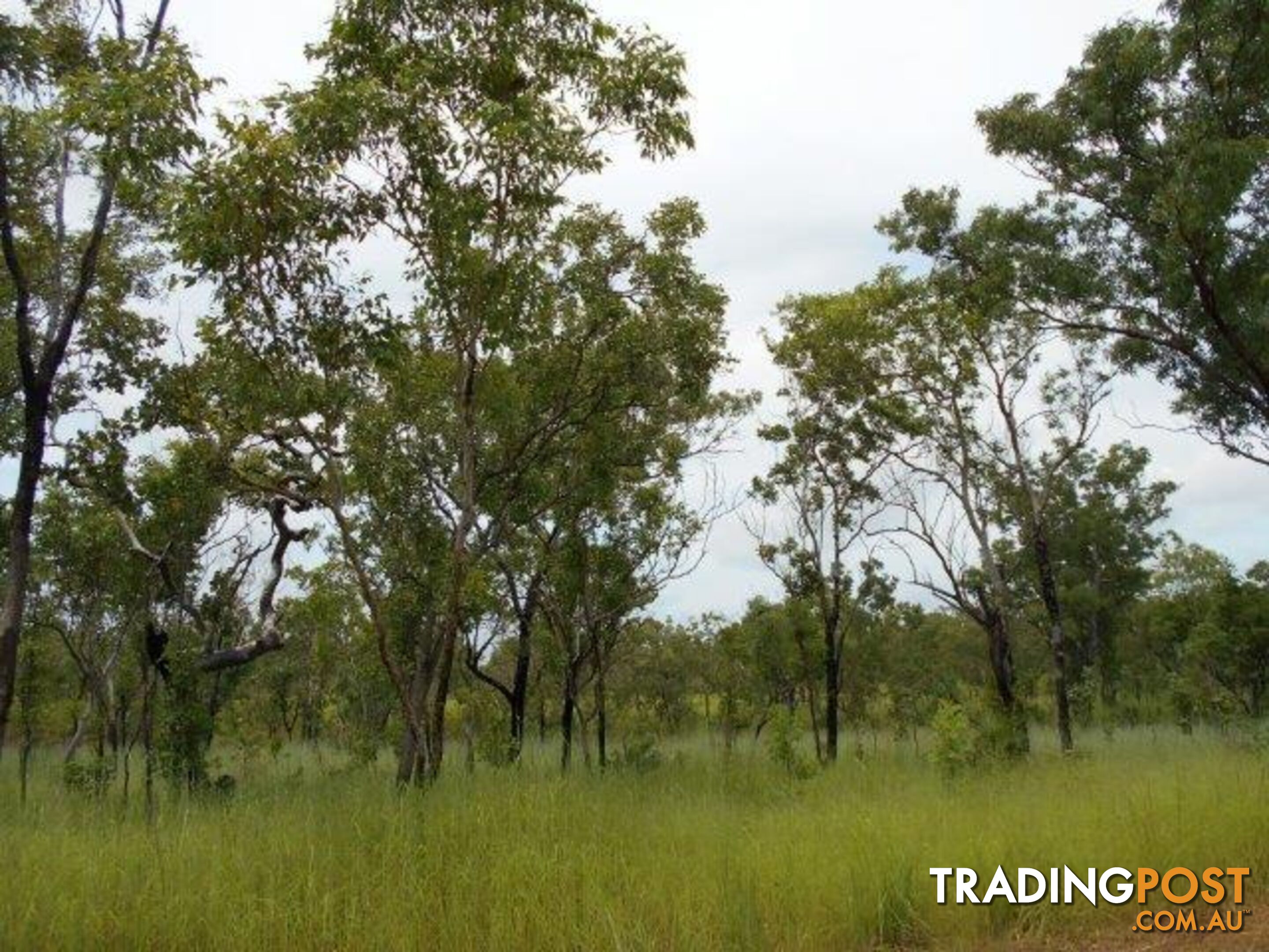 Adelaide River NT 0846