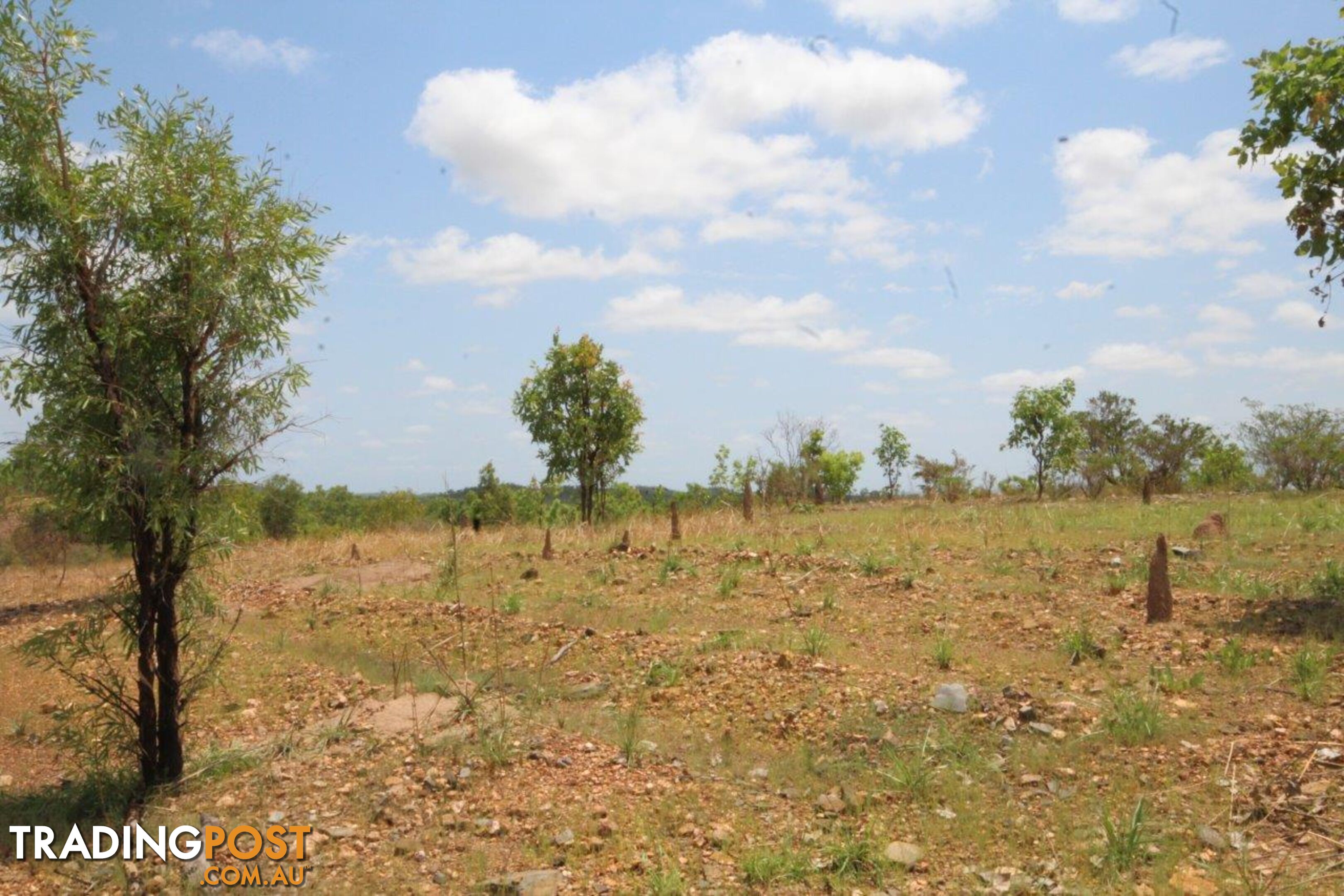 Adelaide River NT 0846