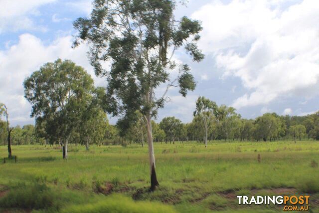 Adelaide River NT 0846